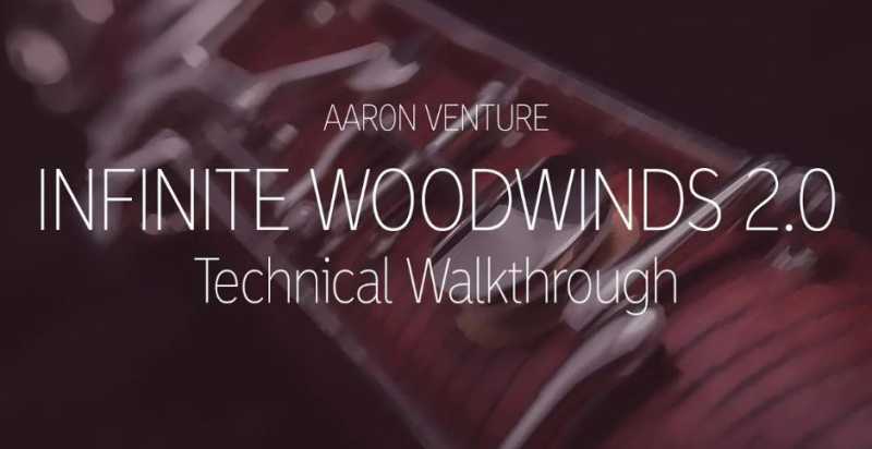 Aaron Venture Infinite Woodwinds 无限木管