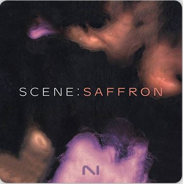 Native Instruments Scene: Saffron 轻量化影视音源