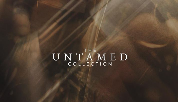 Westwood Instruments Solo Strings Untamed v2.1 KONTAKT 独奏弦乐