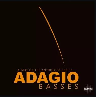 8Dio Adagio Basses 2.0 KONTAKT 低音提琴