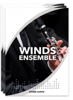 Sonex Audio Woodwinds Ensemble KONTAKT 木管合奏