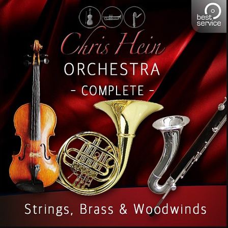 Chris Hein Ensemble Strings