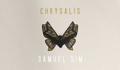 Spitfire Audio Samuel Sim Chrysalis KONTAKT 喷火竖琴特效音源