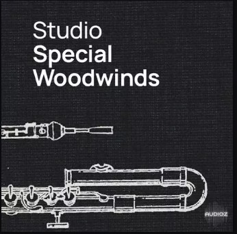 维也纳工作室版特色木管 VSL Vienna Symphonic Library Studio Special Woodwinds (Without Basset Horn)