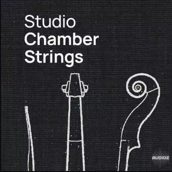 维也纳工作室室内弦乐 VSL Vienna Symphonic Library Studio Chamber Strings (Regular & Sordino)
