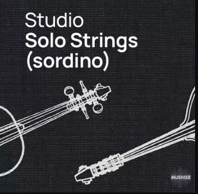 VSL Vienna Symphonic Library Studio Solo Strings Sordino